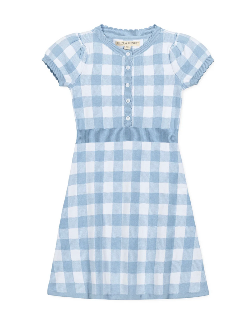 Blue Gingham Button Front Sweater Dress