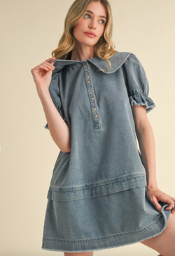 Denim Doll Mini Dress