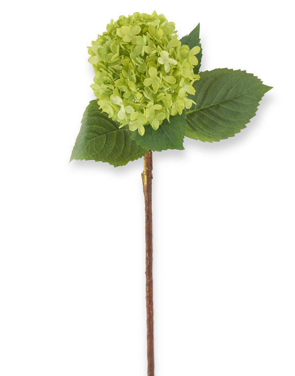 Green Real Touch Hydrangea Stem