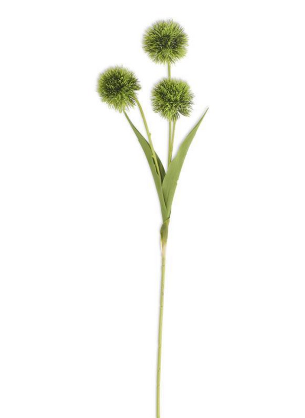 Green Ball Flower Stem