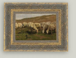 Sheep Landscape