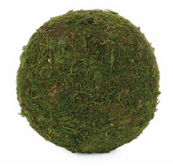 Moss Balls