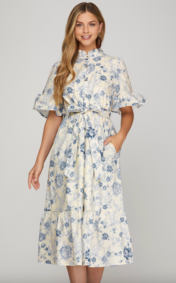 Bell Sleeve Blue Toile Dress