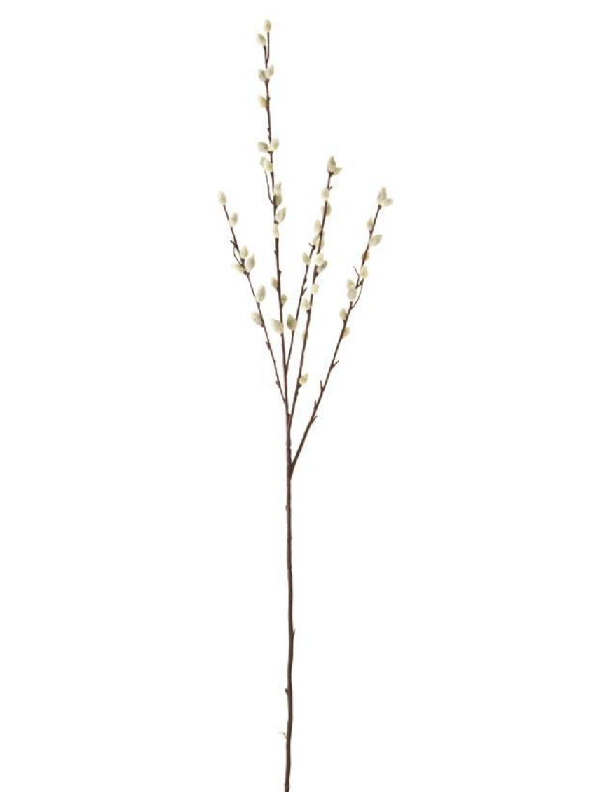 31" Pussy Willow Stem
