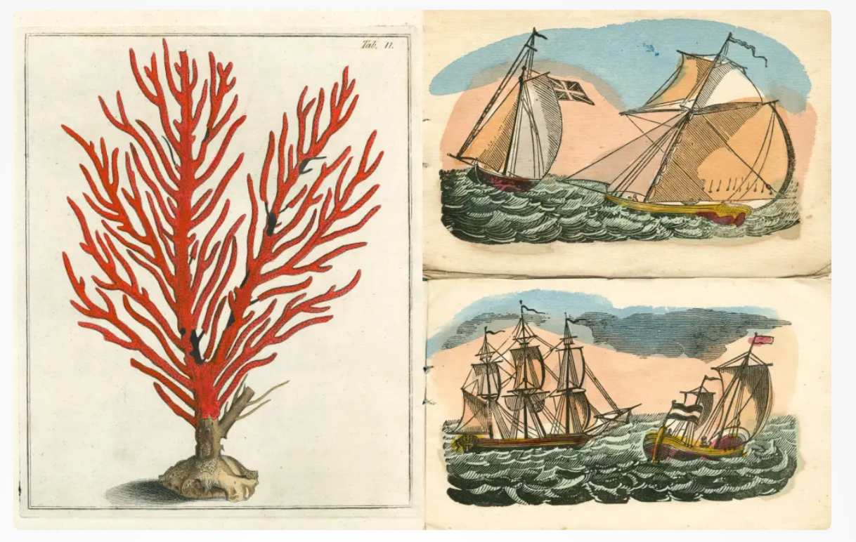 John Derian Picture Book II