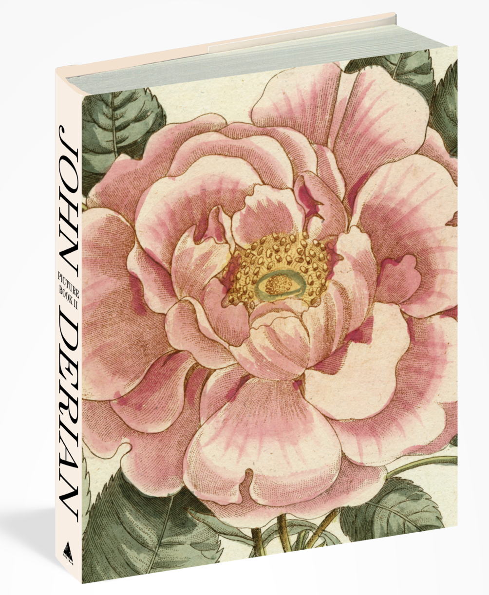 John Derian Picture Book II