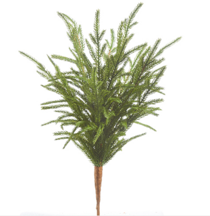 Soft Touch Norfolk Pine Pick