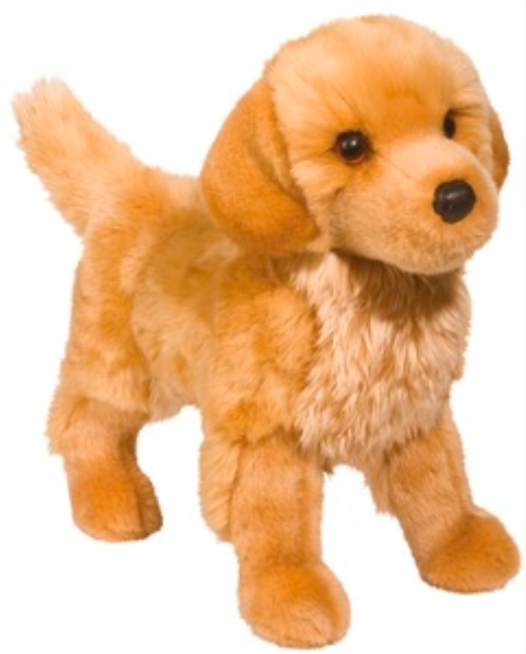 King Golden Retriever