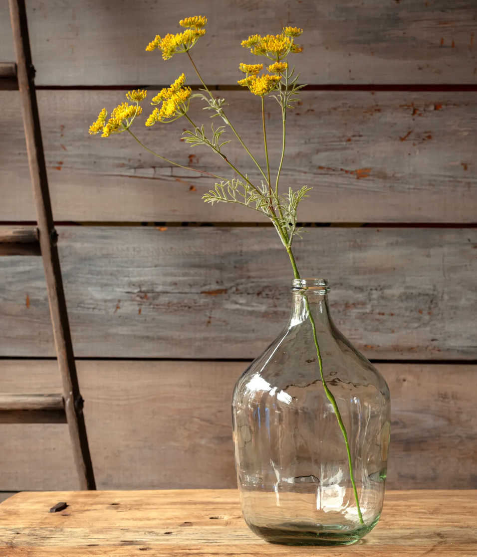Blooming Dill Yellow Stem