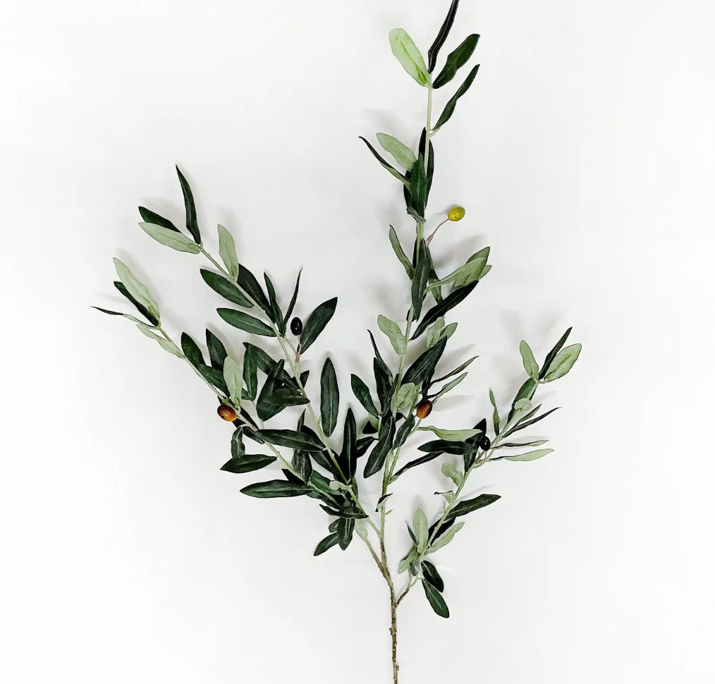 Spanish Olive Branch