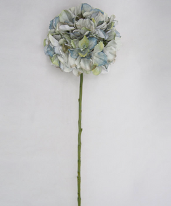 Autumn Hydrangea Stems