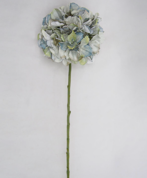 Autumn Hydrangea Stems