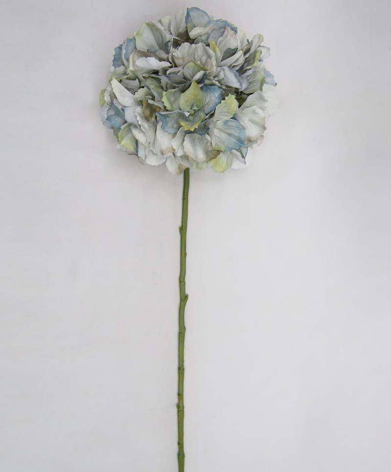 Autumn Hydrangea Stems