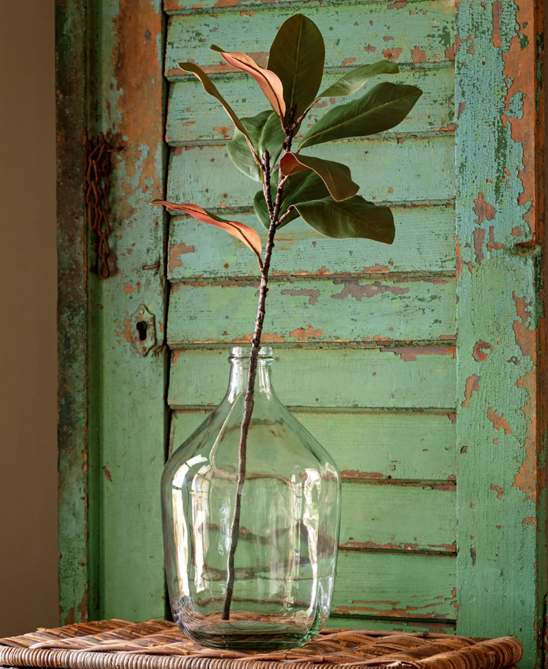 Magnolia Stems