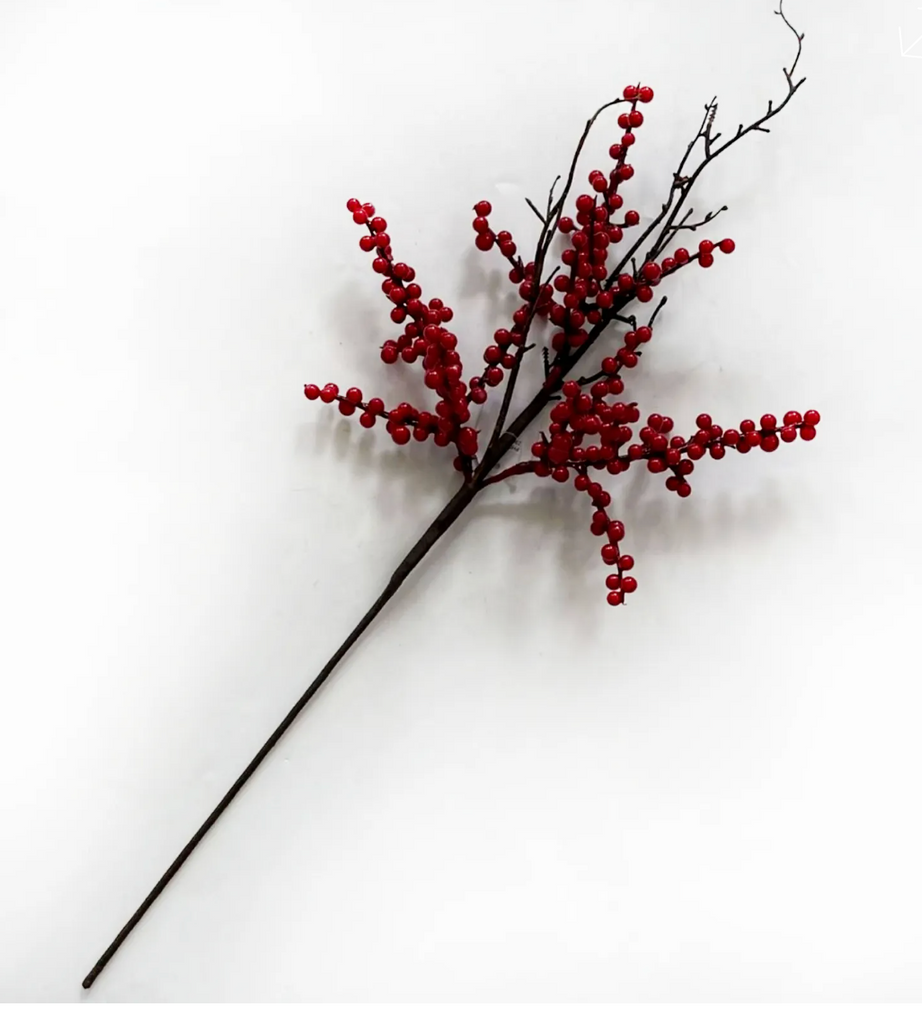 Wild Ilex Berry Pick