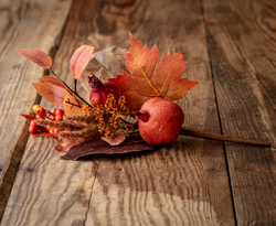 Pomegranate Harvest Pick