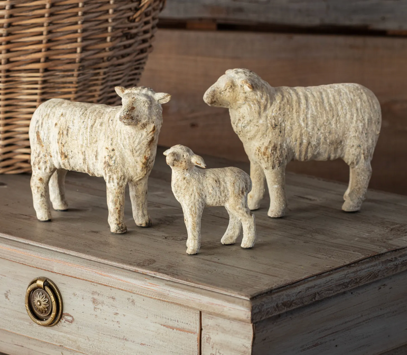 Old World Sheep