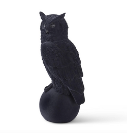 Black Velvet Flocked Owl