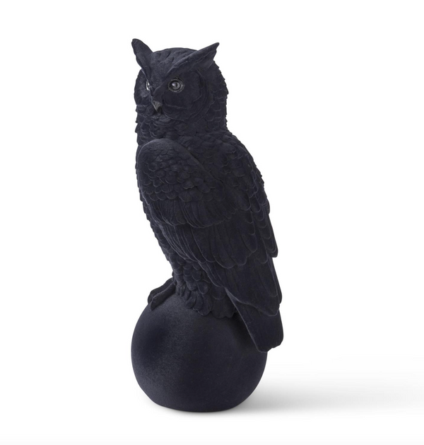 Black Velvet Flocked Owl