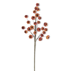 Orange Fig Stem