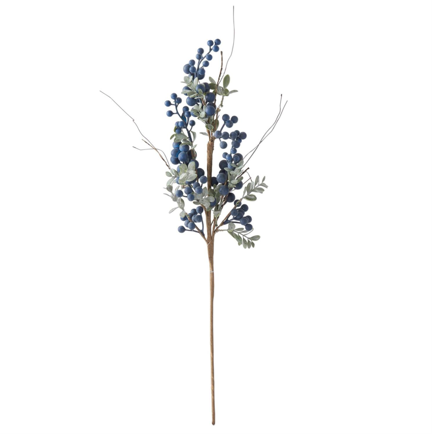 Blue Grape Berry Stem