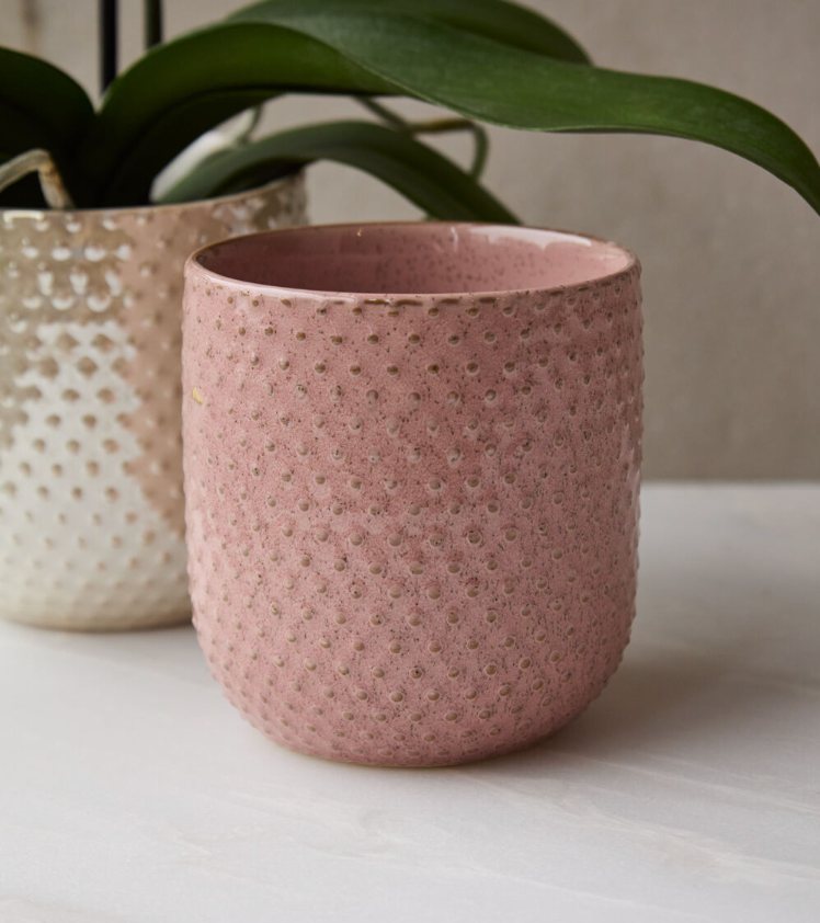 Everly Pot