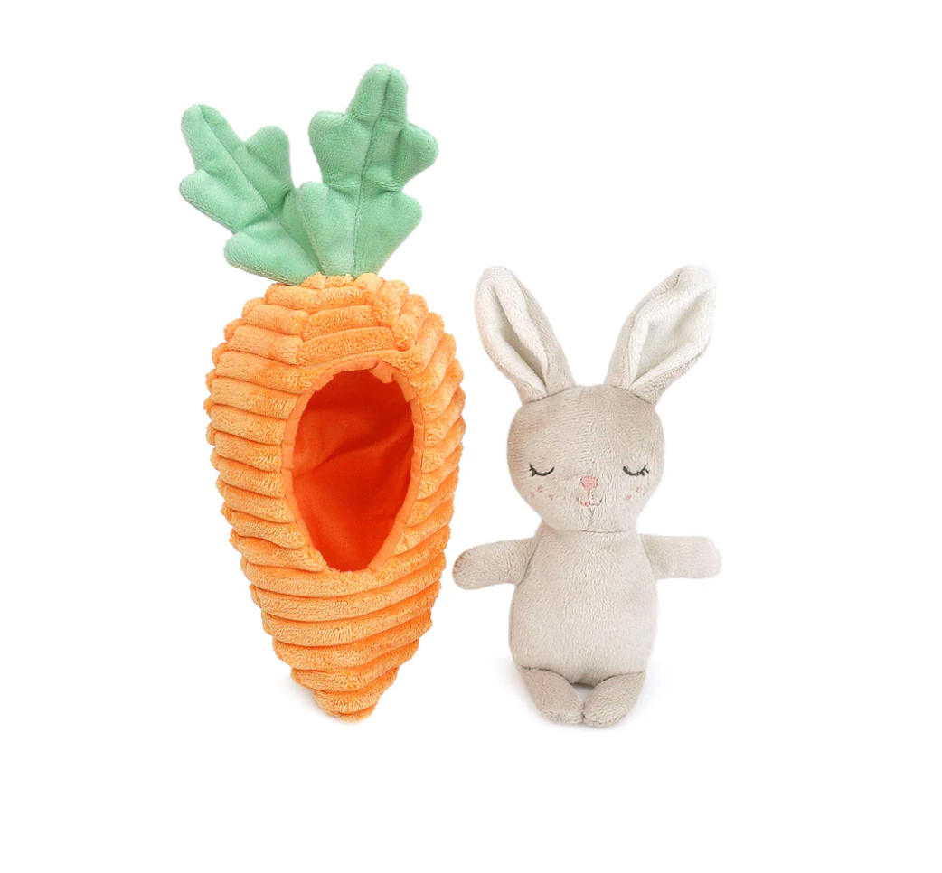 Carrot with Bunny
