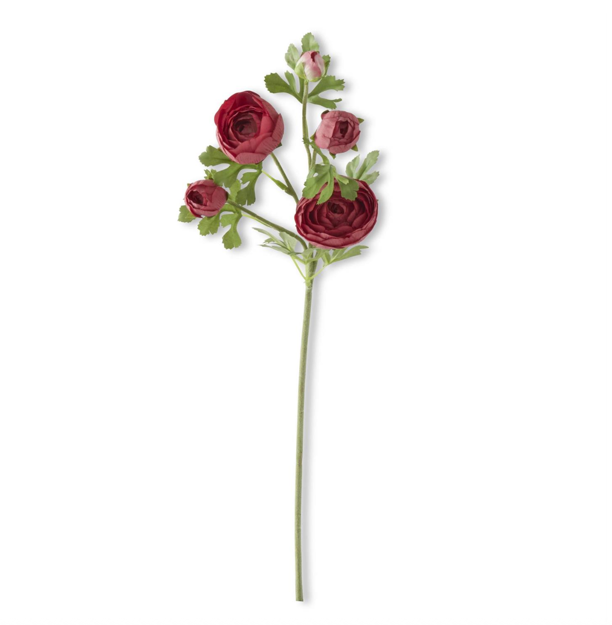 Burgundy Real Touch Ranunculus Stem