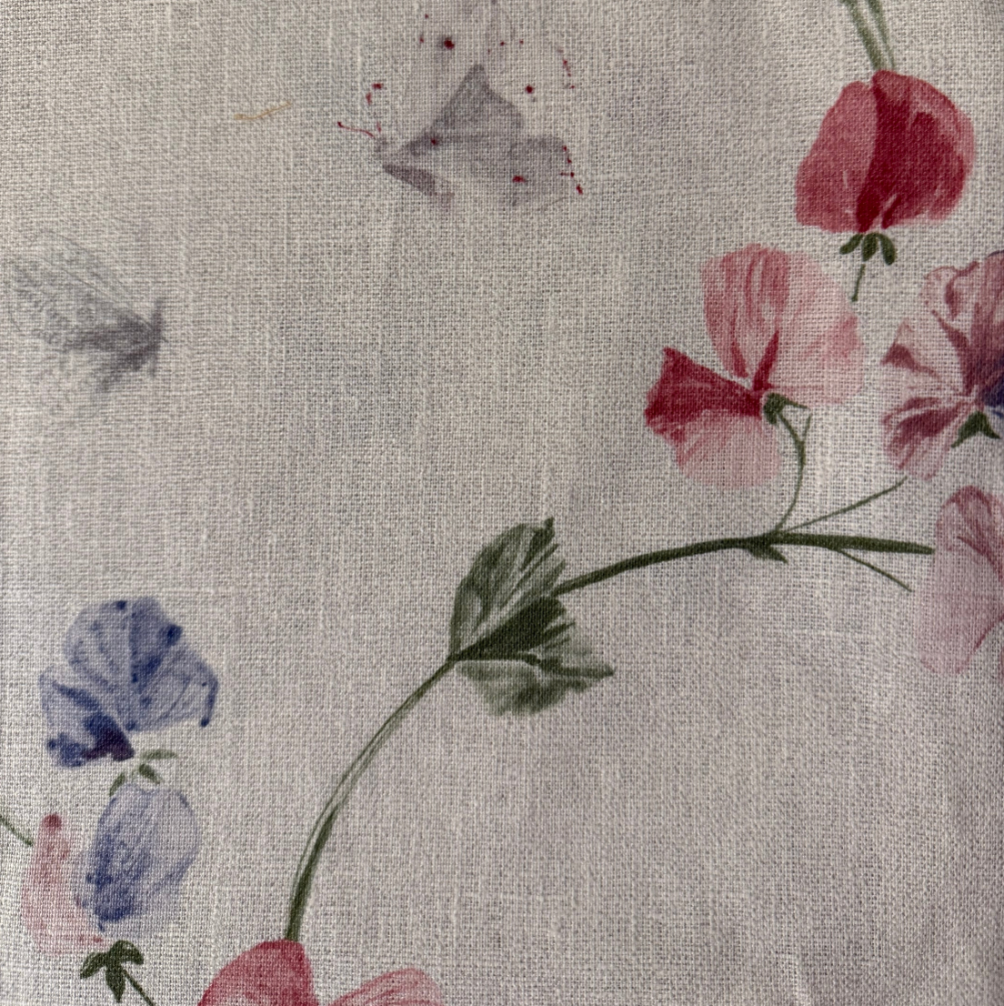 Cole & Son Sweet Pea Pillow