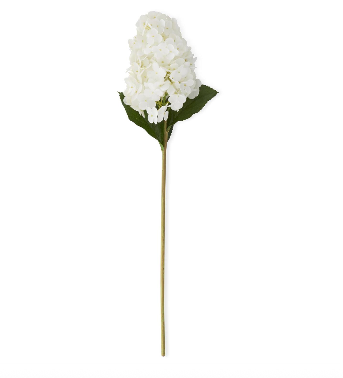 White Real Touch Cone Hydrangea Stem