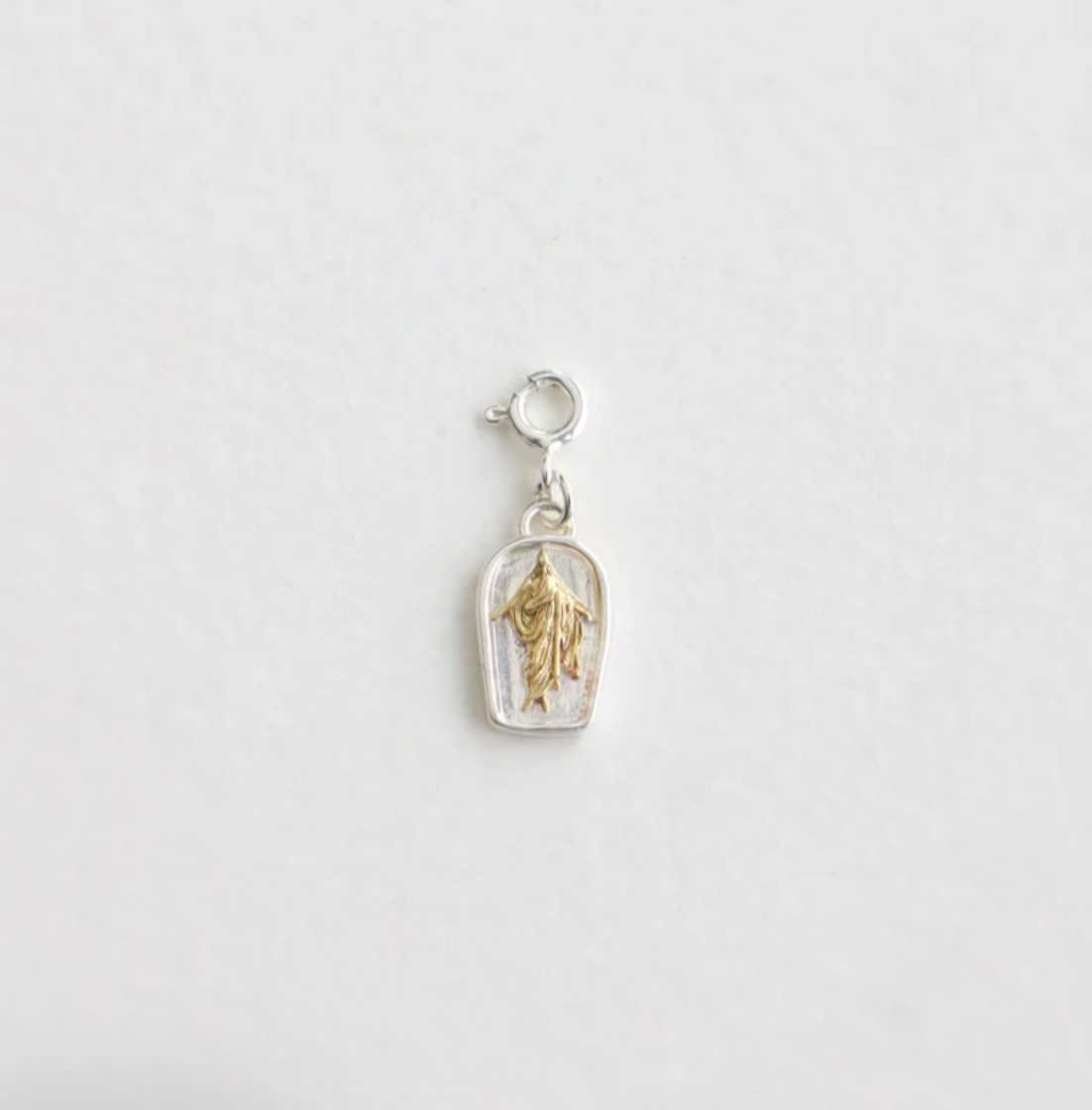 The Savior Charm