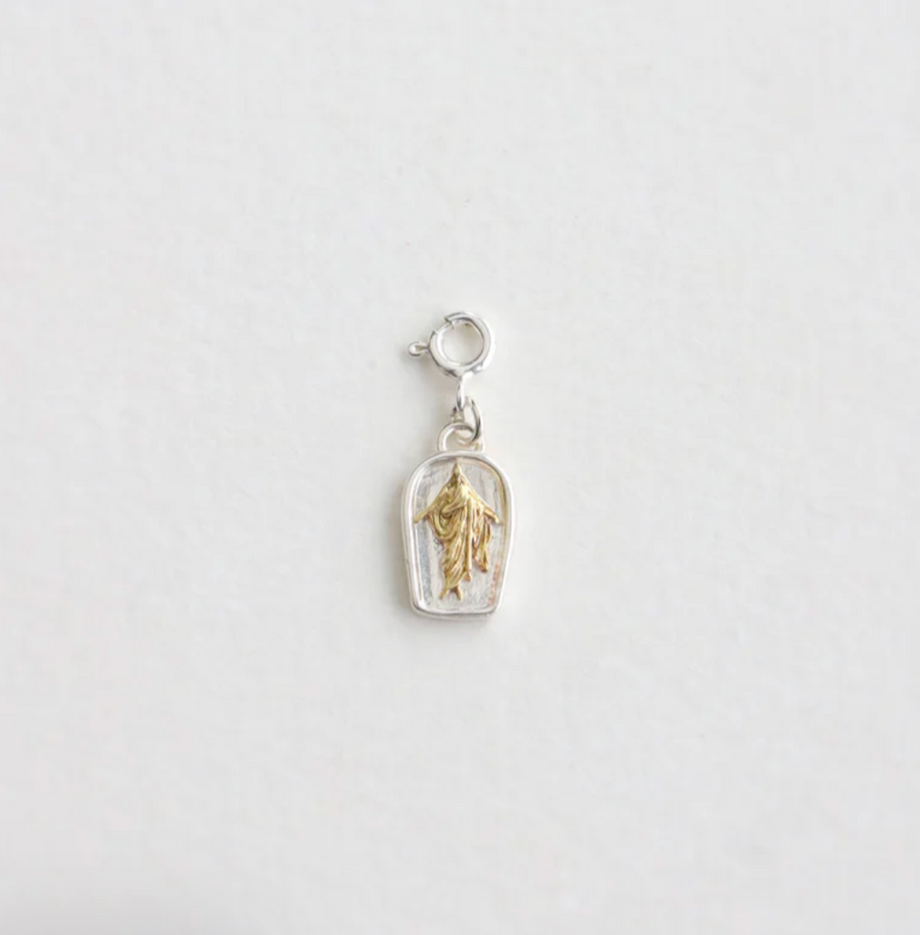 The Savior Charm
