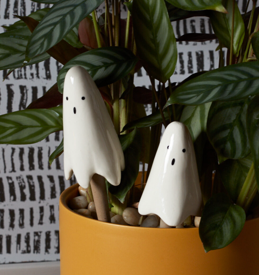 Casper Plant Stick