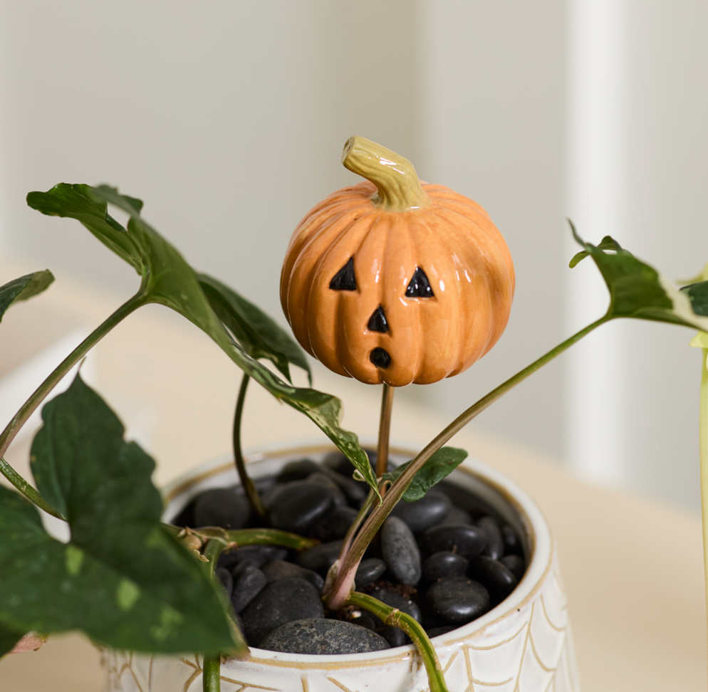 Small Spooks Plant Sticks