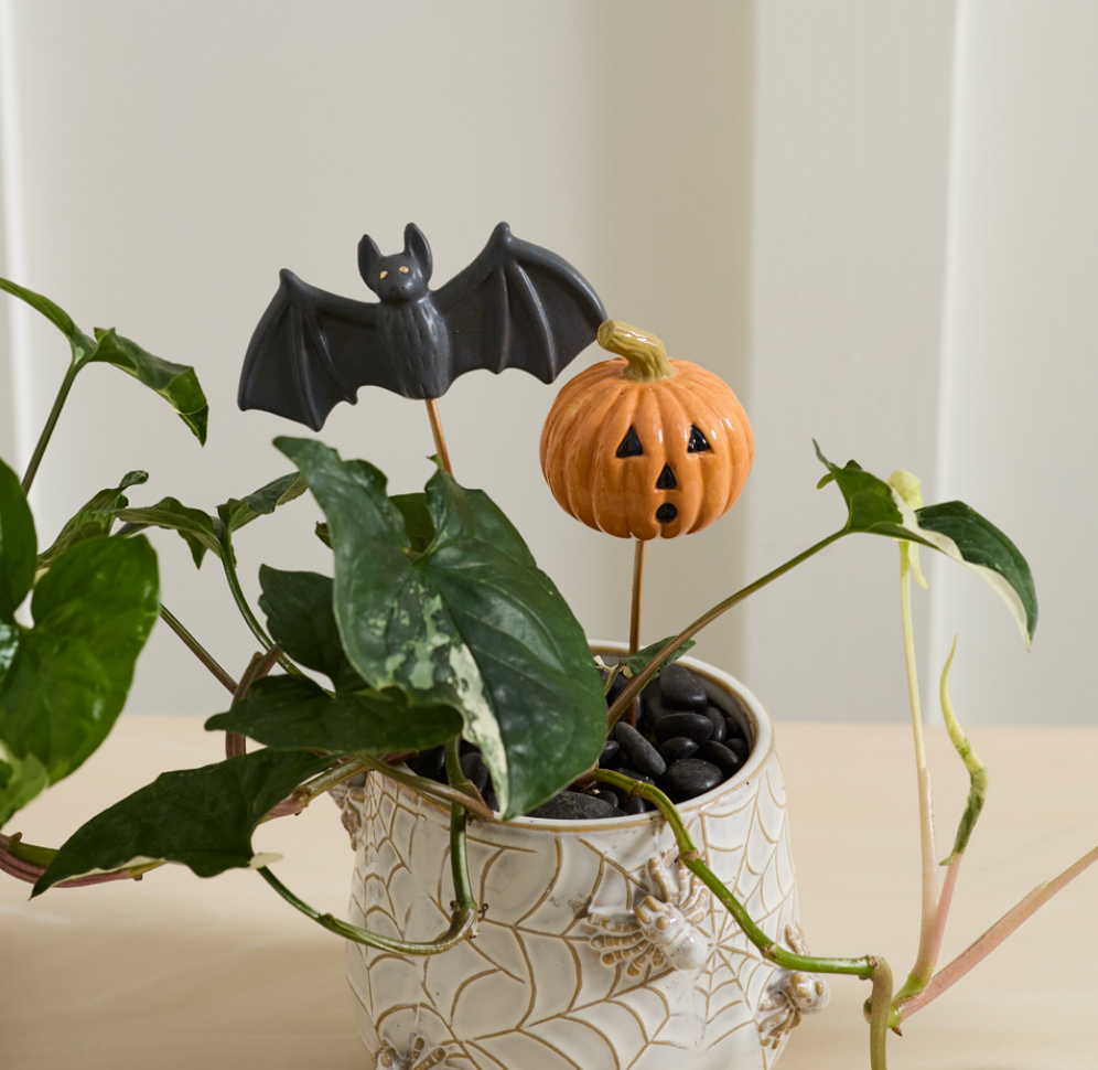 Small Spooks Plant Sticks