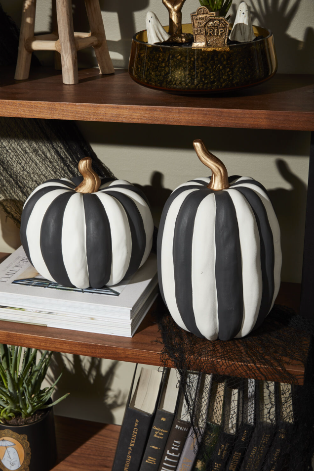 Otho Pumpkin