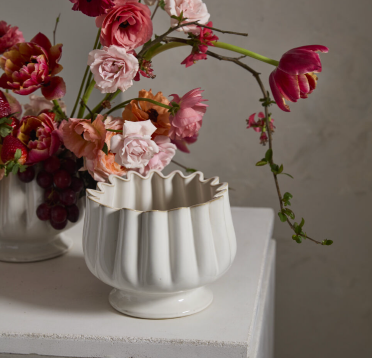 Tulipa Compote