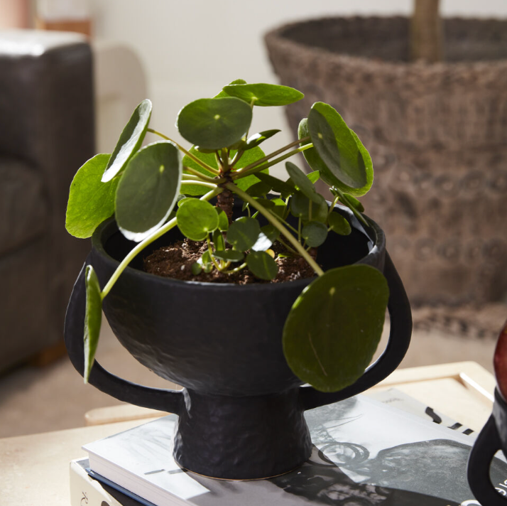 Mitla Footed Compote