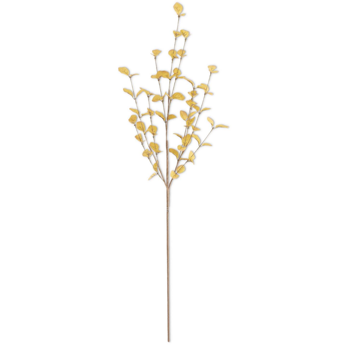 Yellow Eucalyptus Stem
