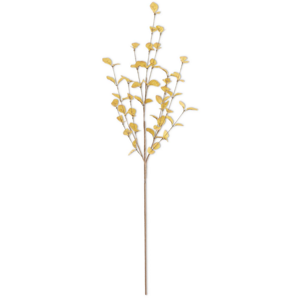 Yellow Eucalyptus Stem