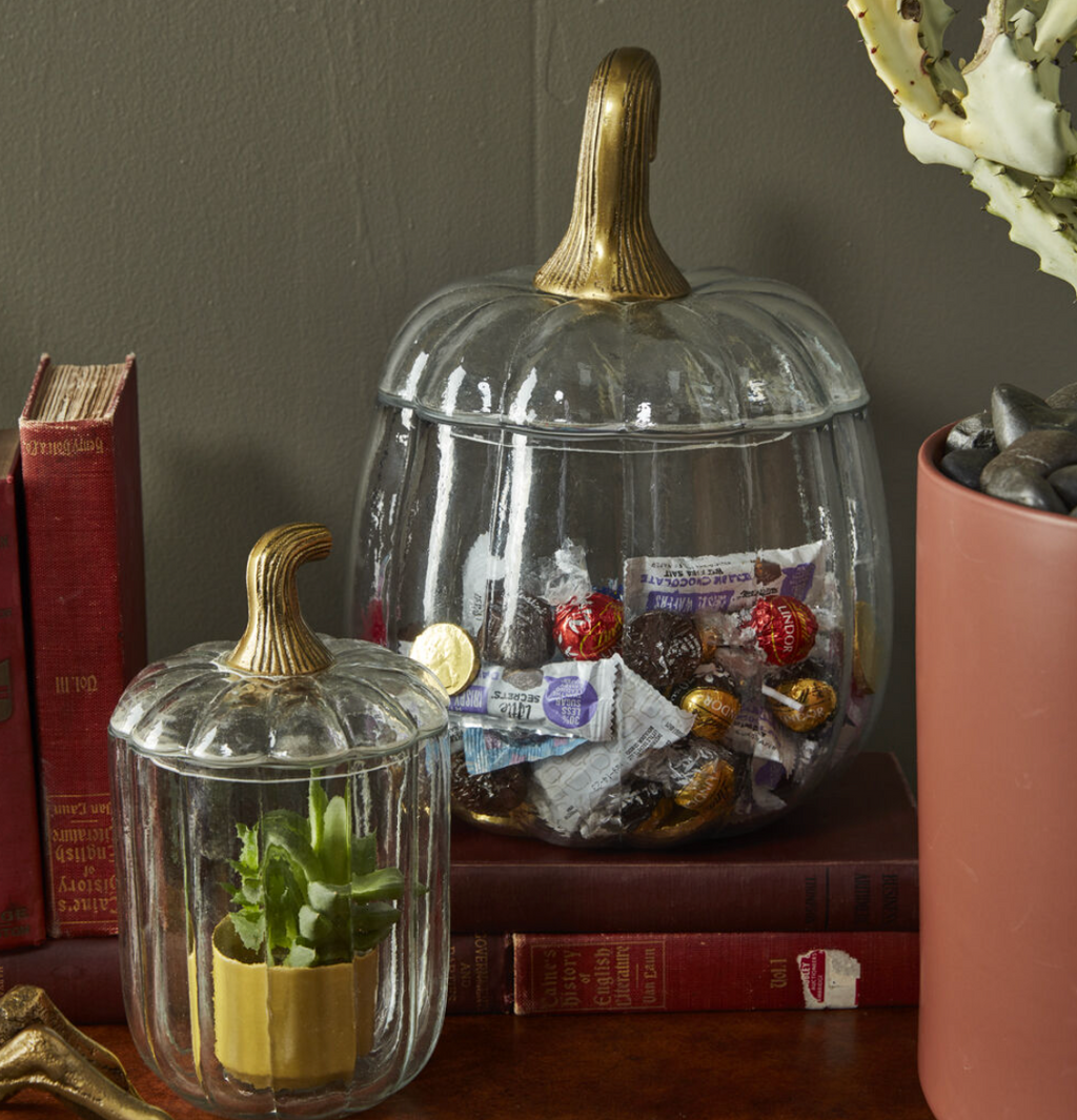 Translucent Pumpkin Terrarium