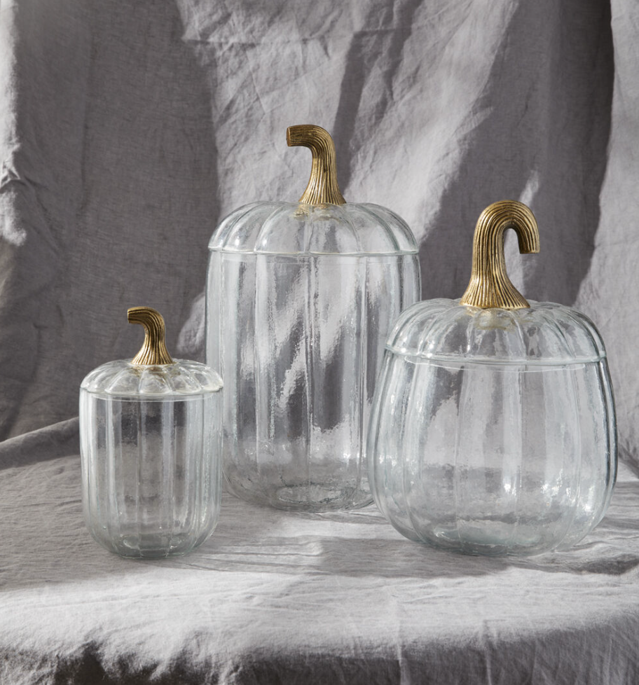 Translucent Pumpkin Terrarium