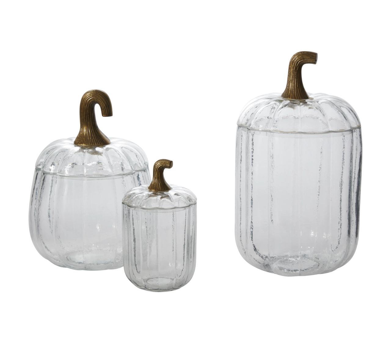 Translucent Pumpkin Terrarium
