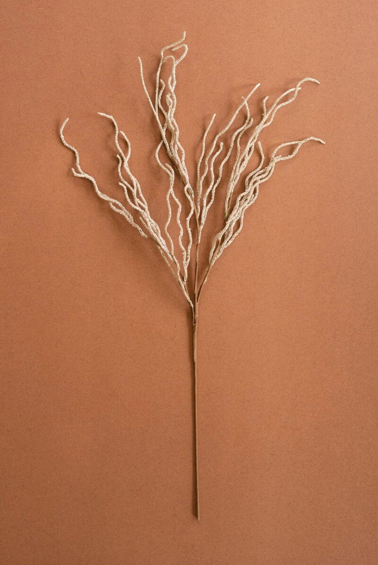 Feathery Botanical