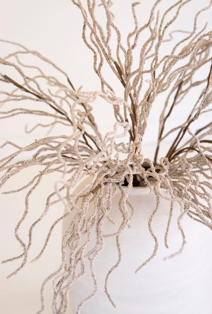 Feathery Botanical