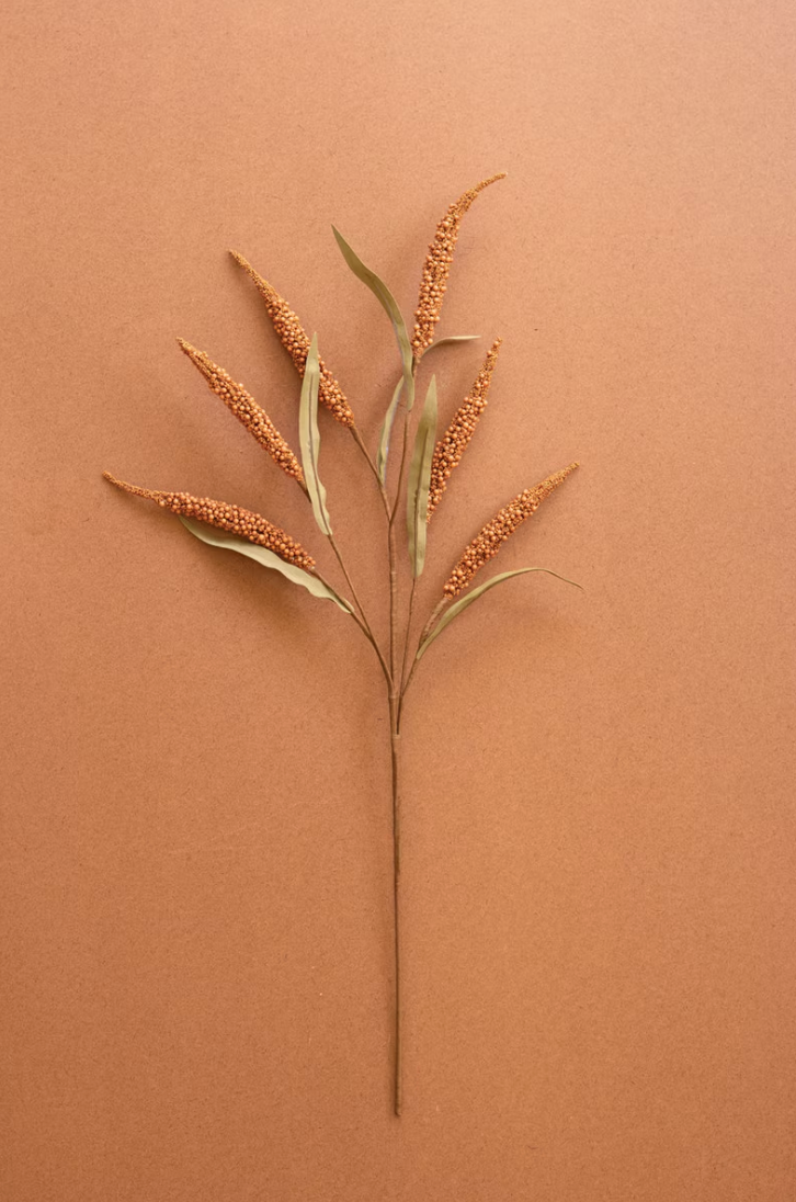 Dried Grass Botanical