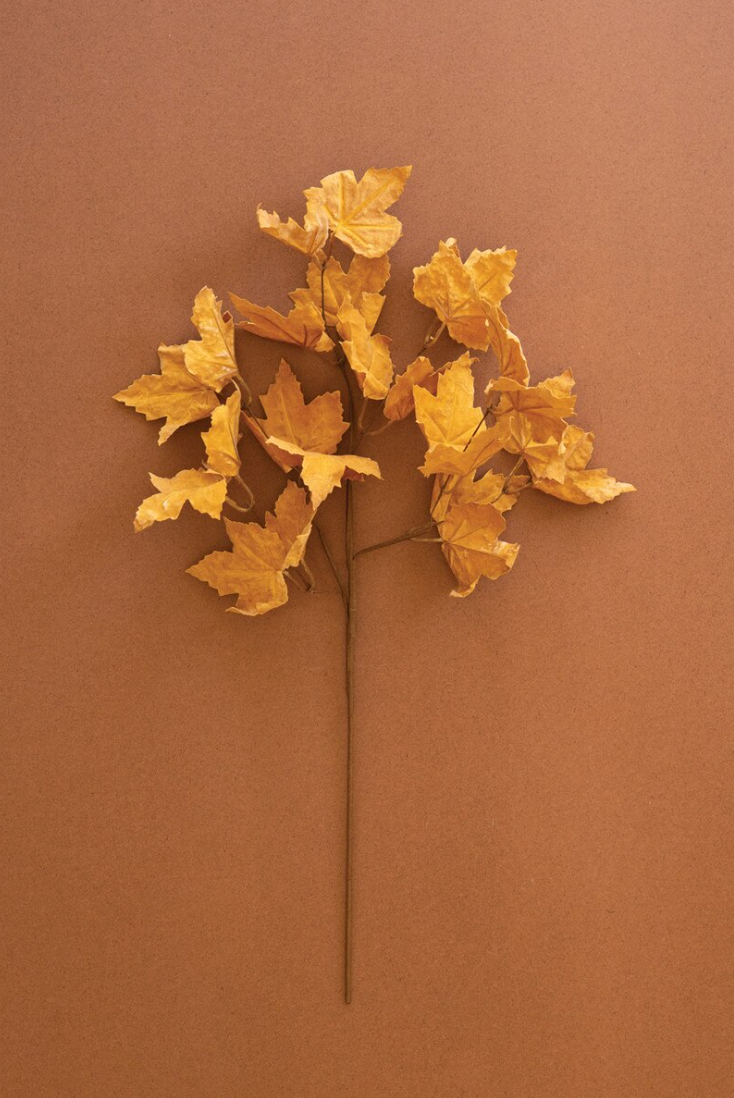 Golden Leaf Botanical