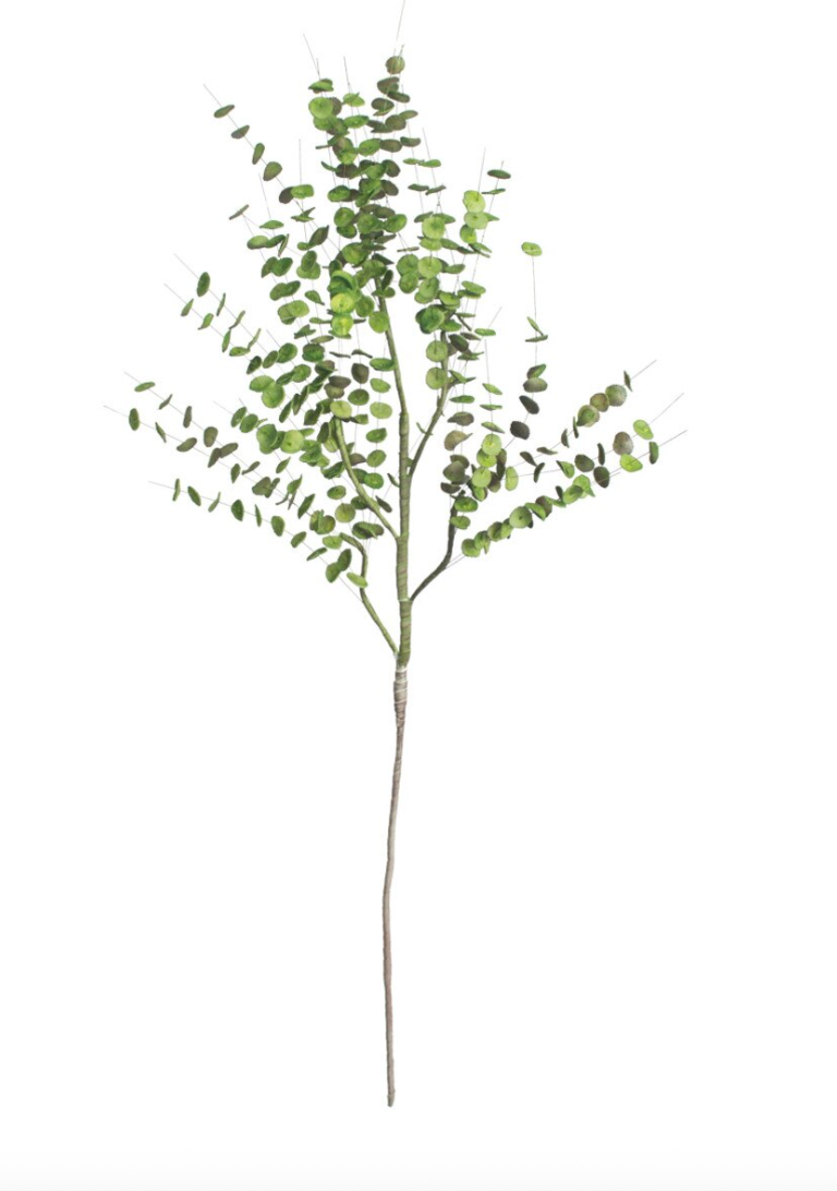 Artificial Florence Stem