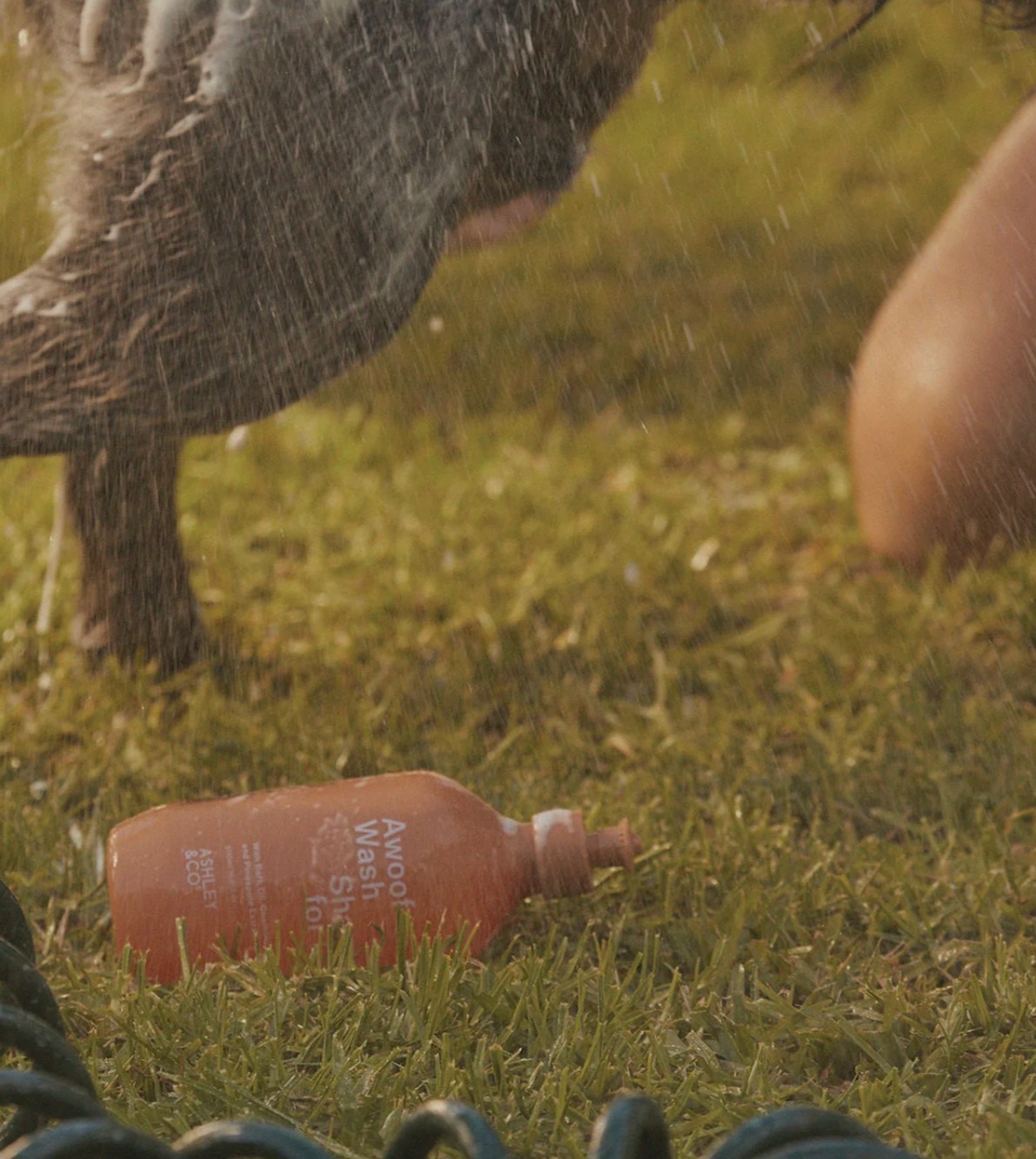 Awoof Wash Shampoo For Dogs