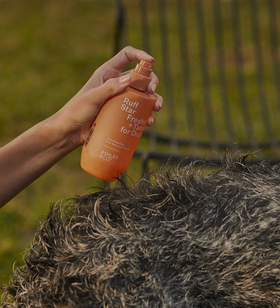 Ruff Star Freshen & Tame for Dogs